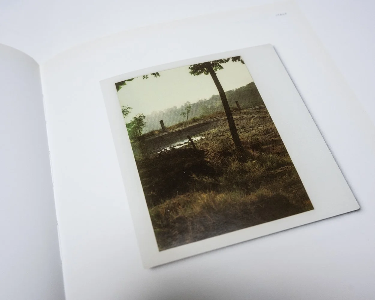 Saul Leiter: Early Color (Signed) — bookdummypress